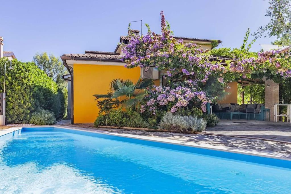 Istriensonne 0179 - Villa Romantika Mit Pool Ližnjan Eksteriør bilde